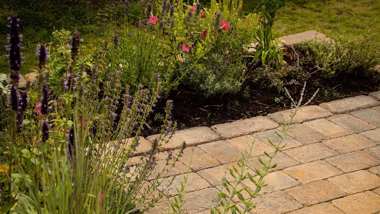 Regnbed ved uteområde med belegningsstein for drenering av hage.