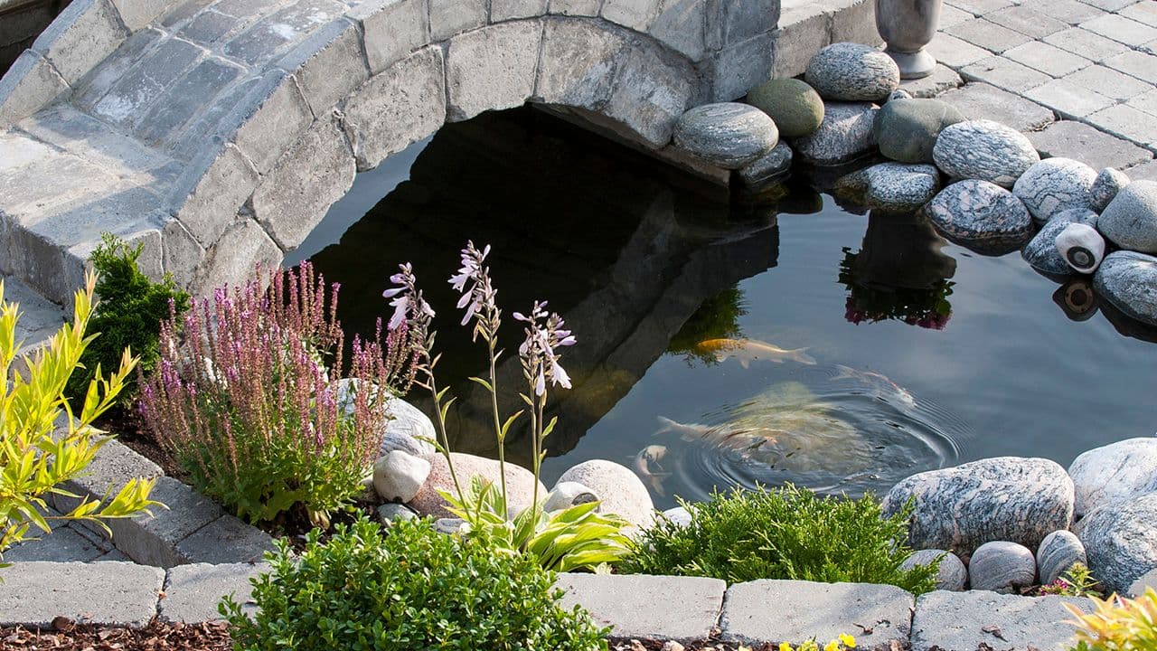 Hage med fiskedam og bro laget av steinmur.