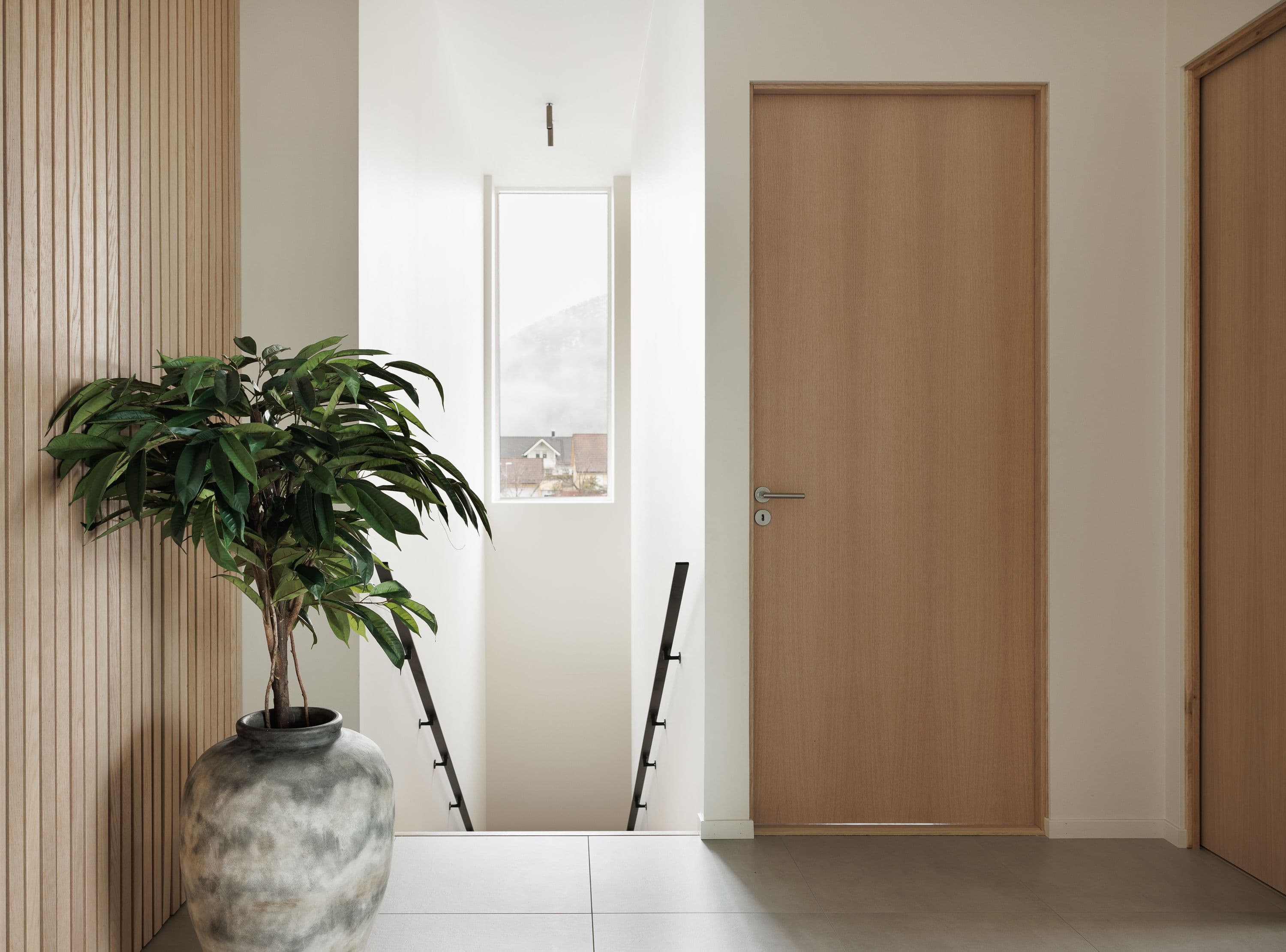 plante i en vase