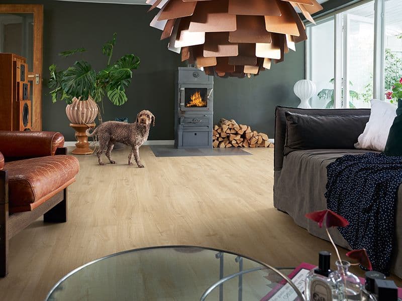 Hund i stue med peis og gulvvarme.