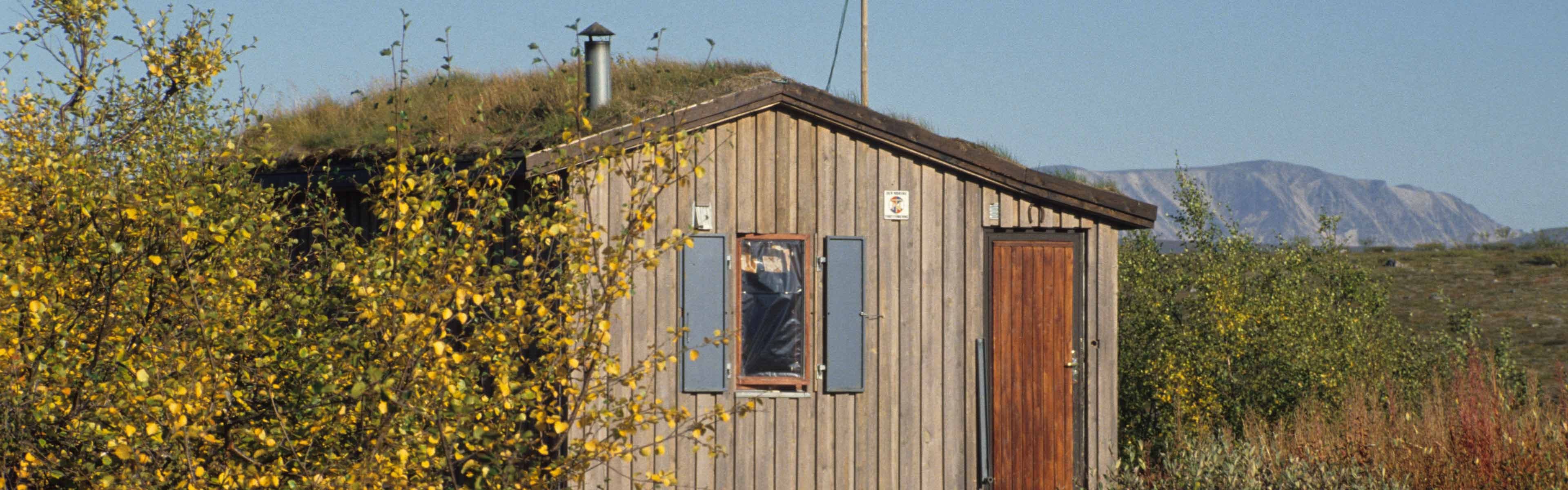 Trehytte på høsten mellom trær og skoglandskap.